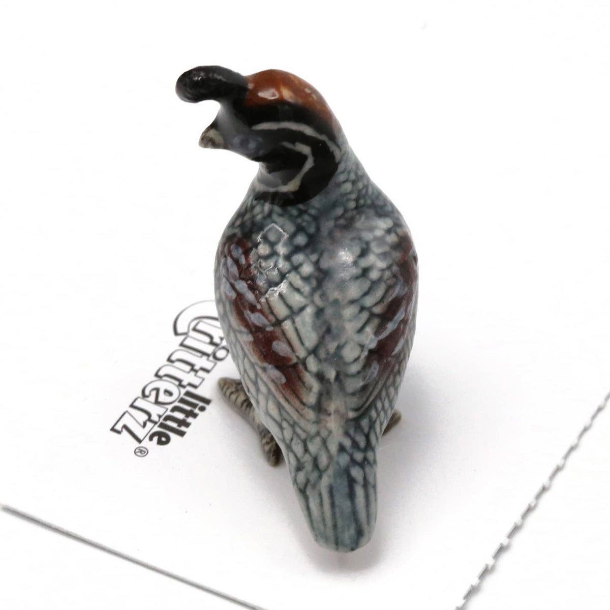 Sage Gambel's Quail Porcelain Mini Figurine - vibeboxshop