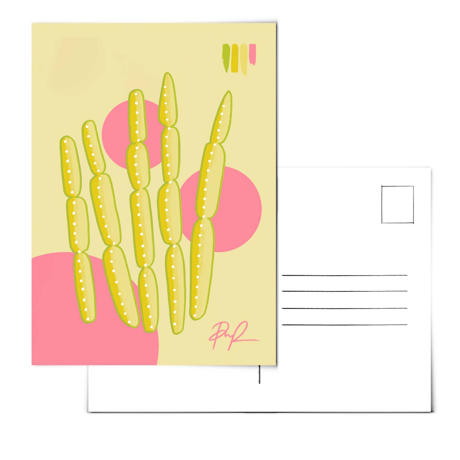 Set of 10 Desert Postcards - vibeboxshop