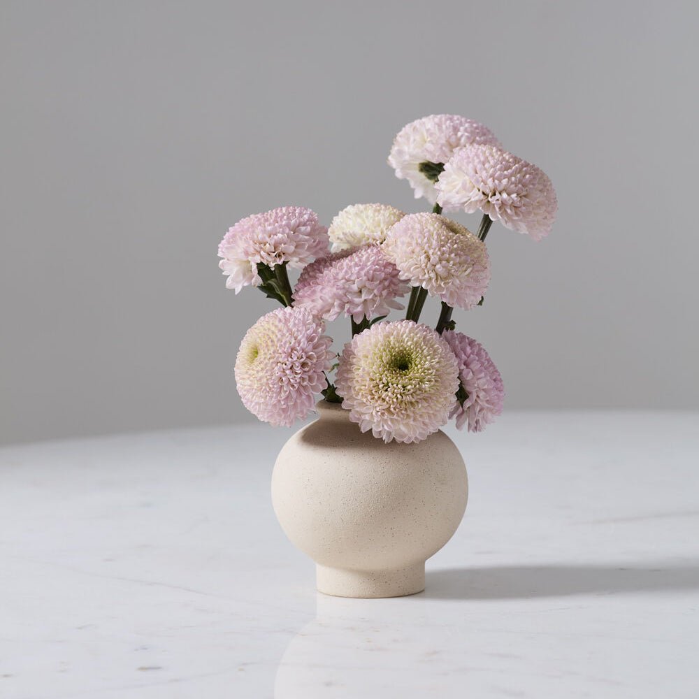 Stockton Budvase - vibeboxshop