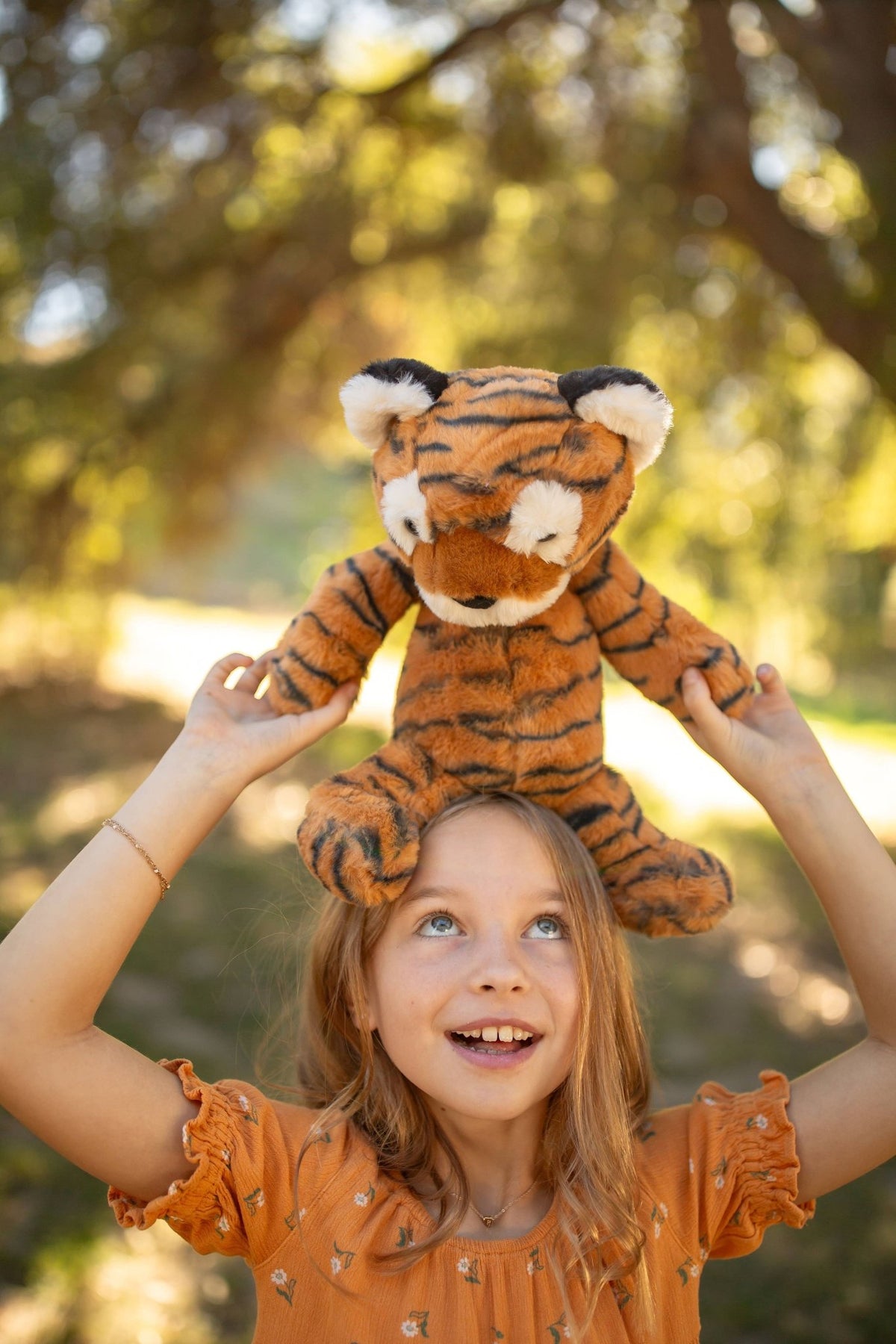 Tad Tiger Plush Toy - vibeboxshop