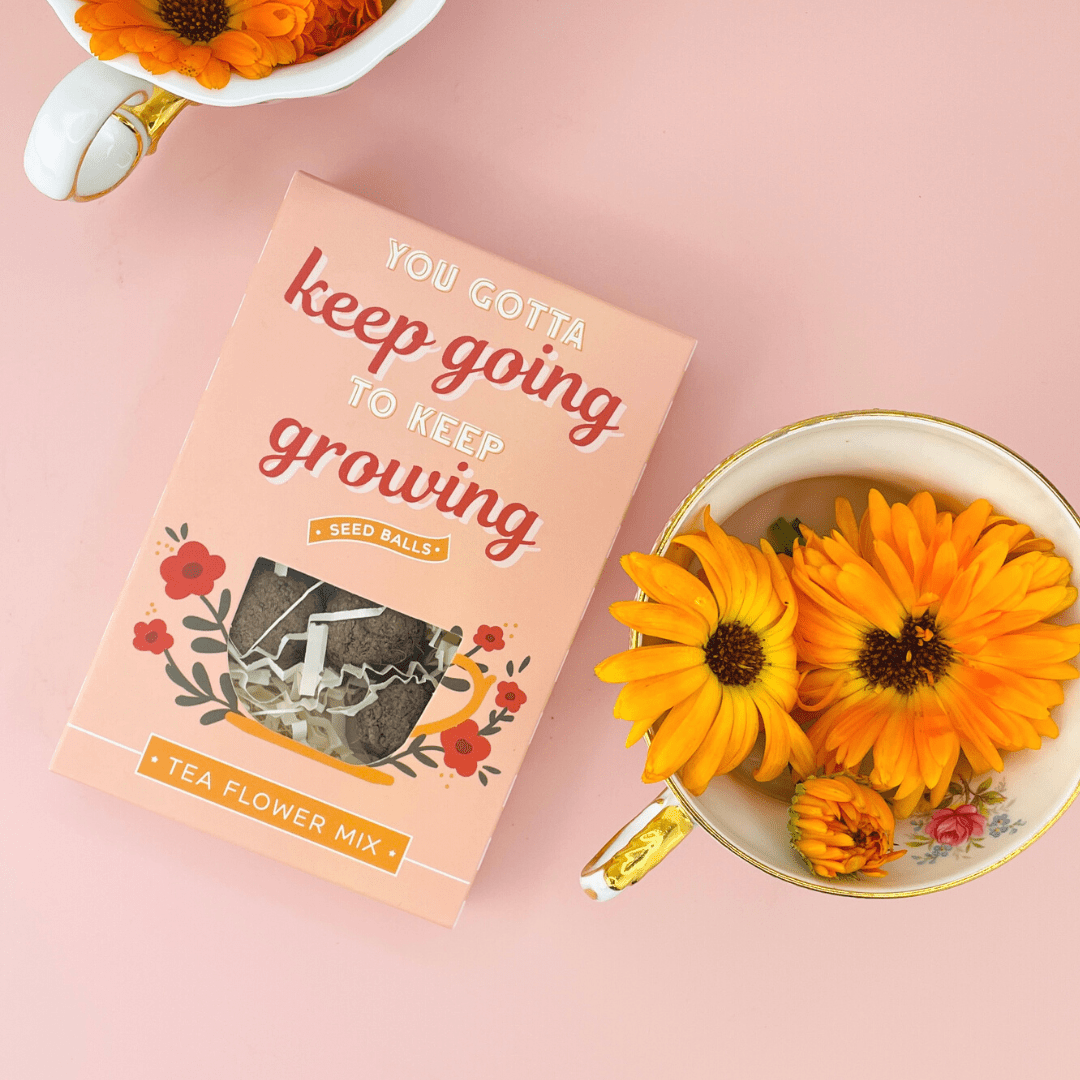 You Gotta Keep Going To Keep Growing Seed Ball Gift Box - vibeboxshop